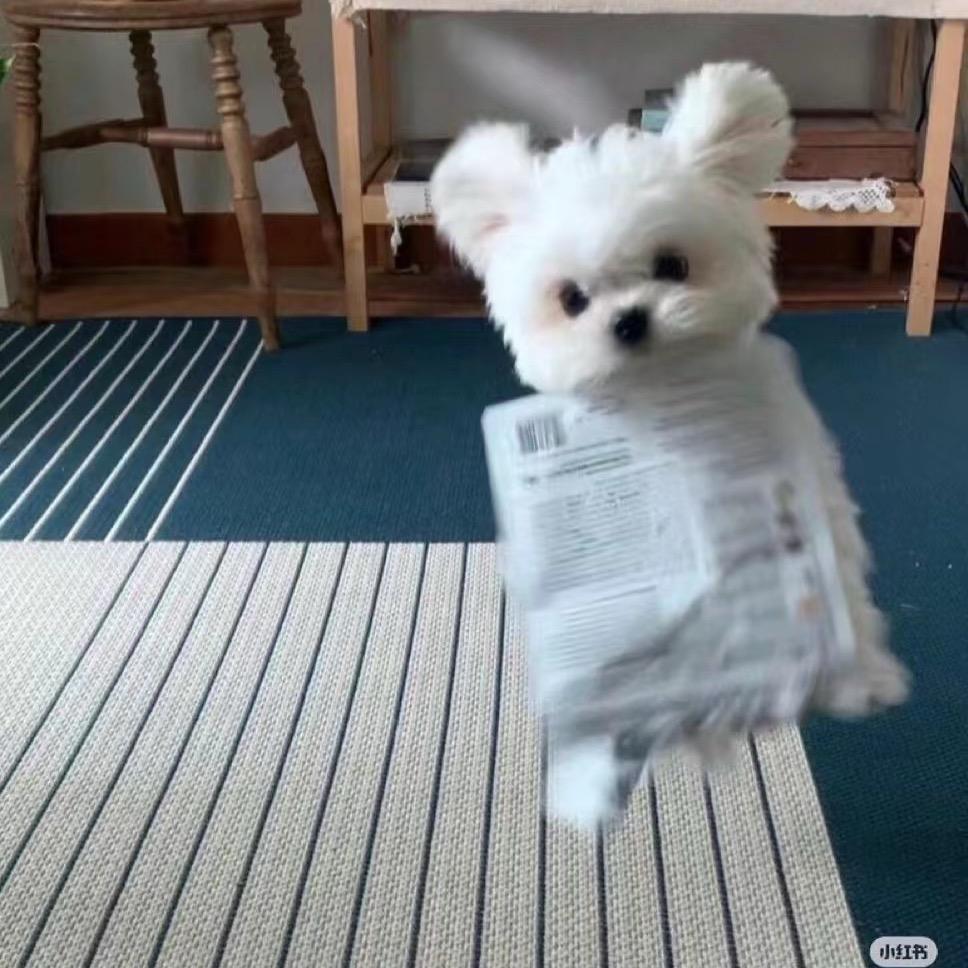 甜眠酱（剑网3版）