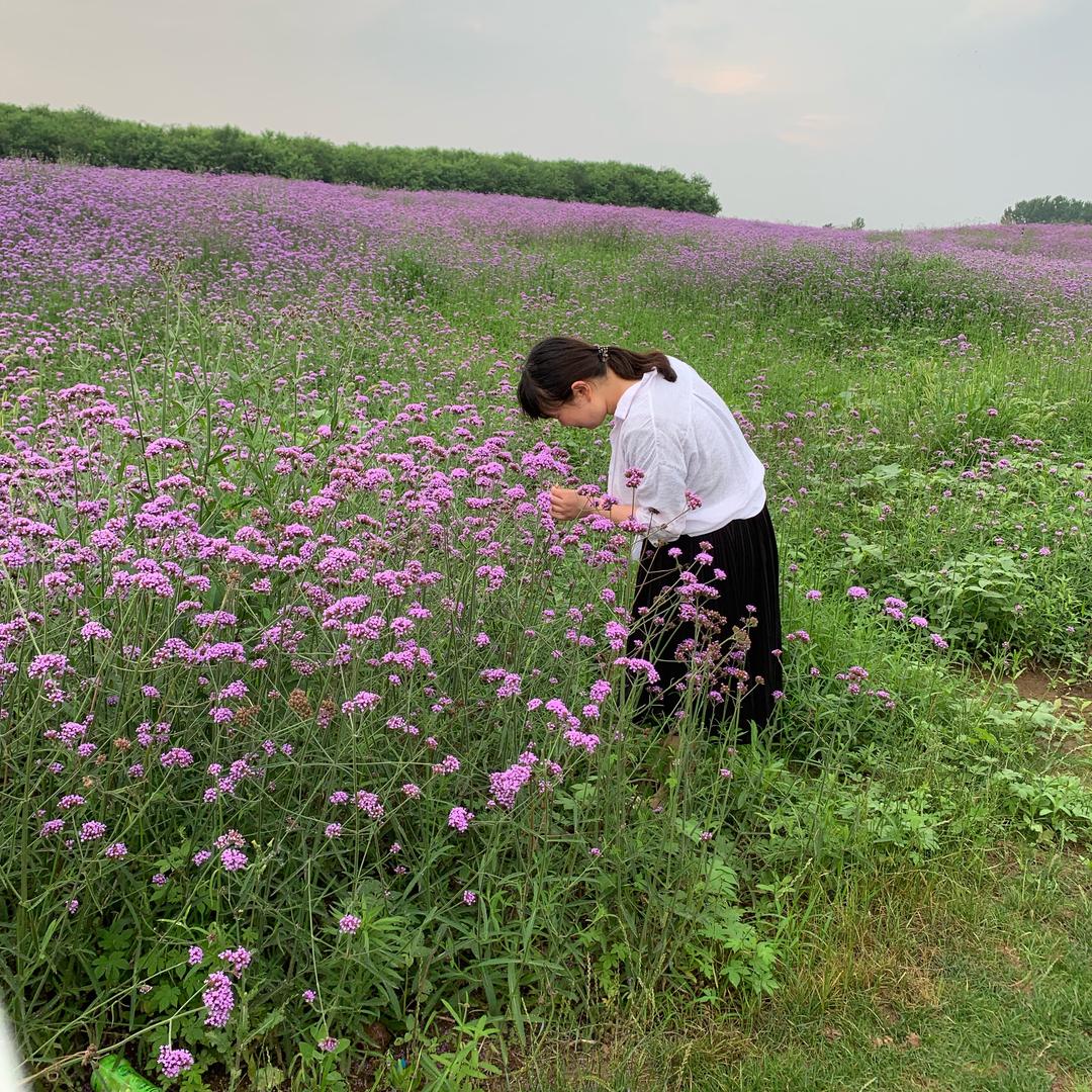 蜗牛大哥🐌