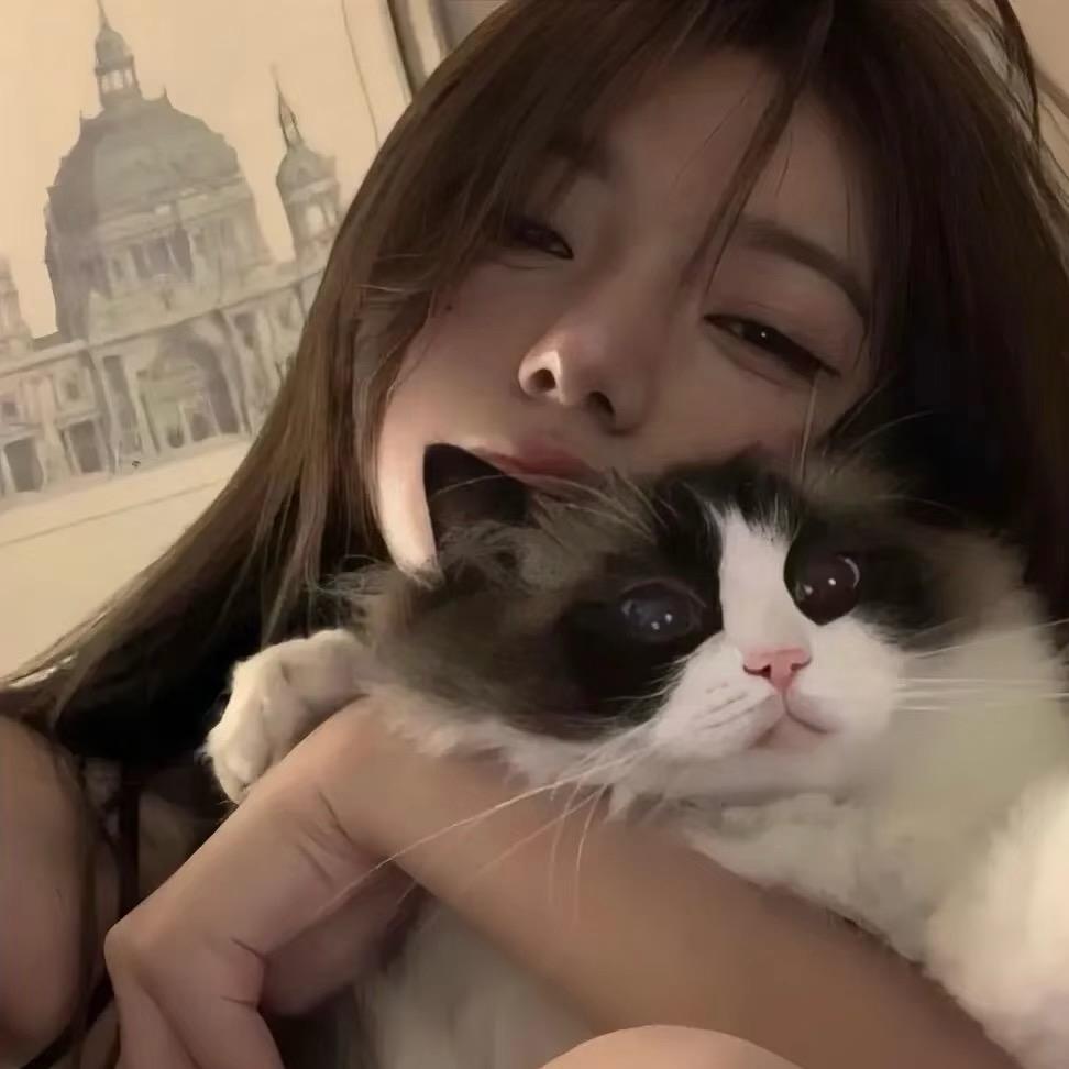 你看起来像笨蛋