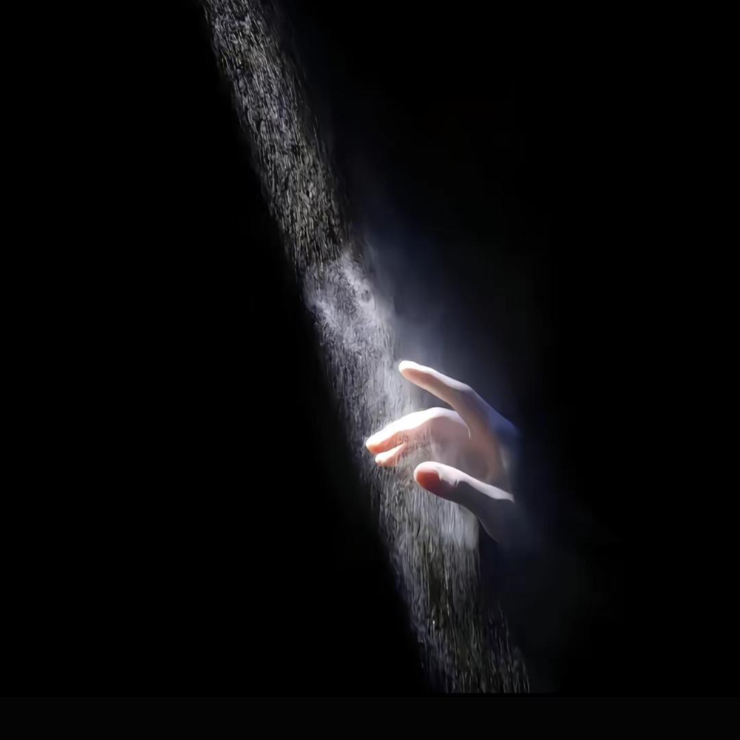 ZFMing