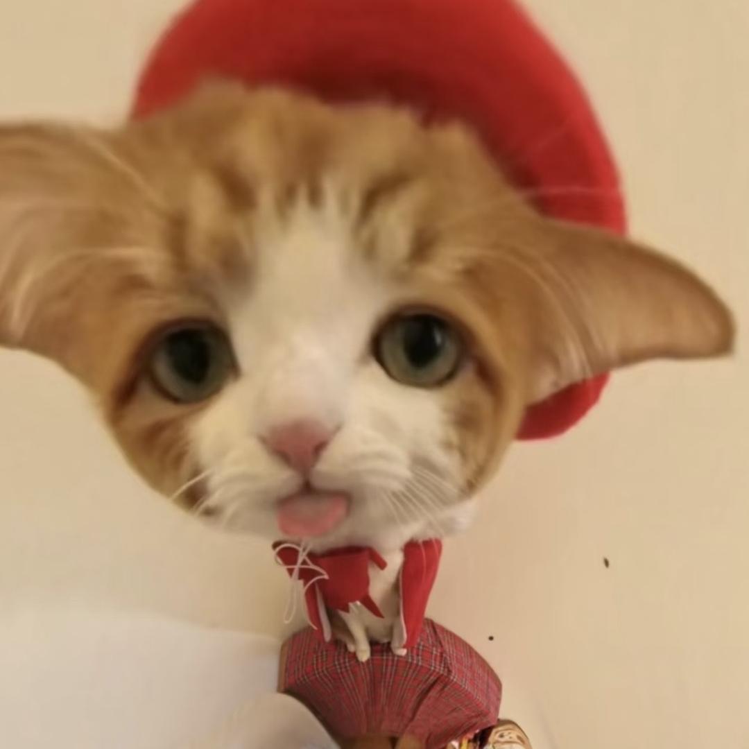 黎麦拆卡-赛鹏（超欧版）