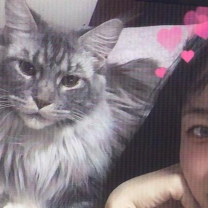 春日部小新🐱