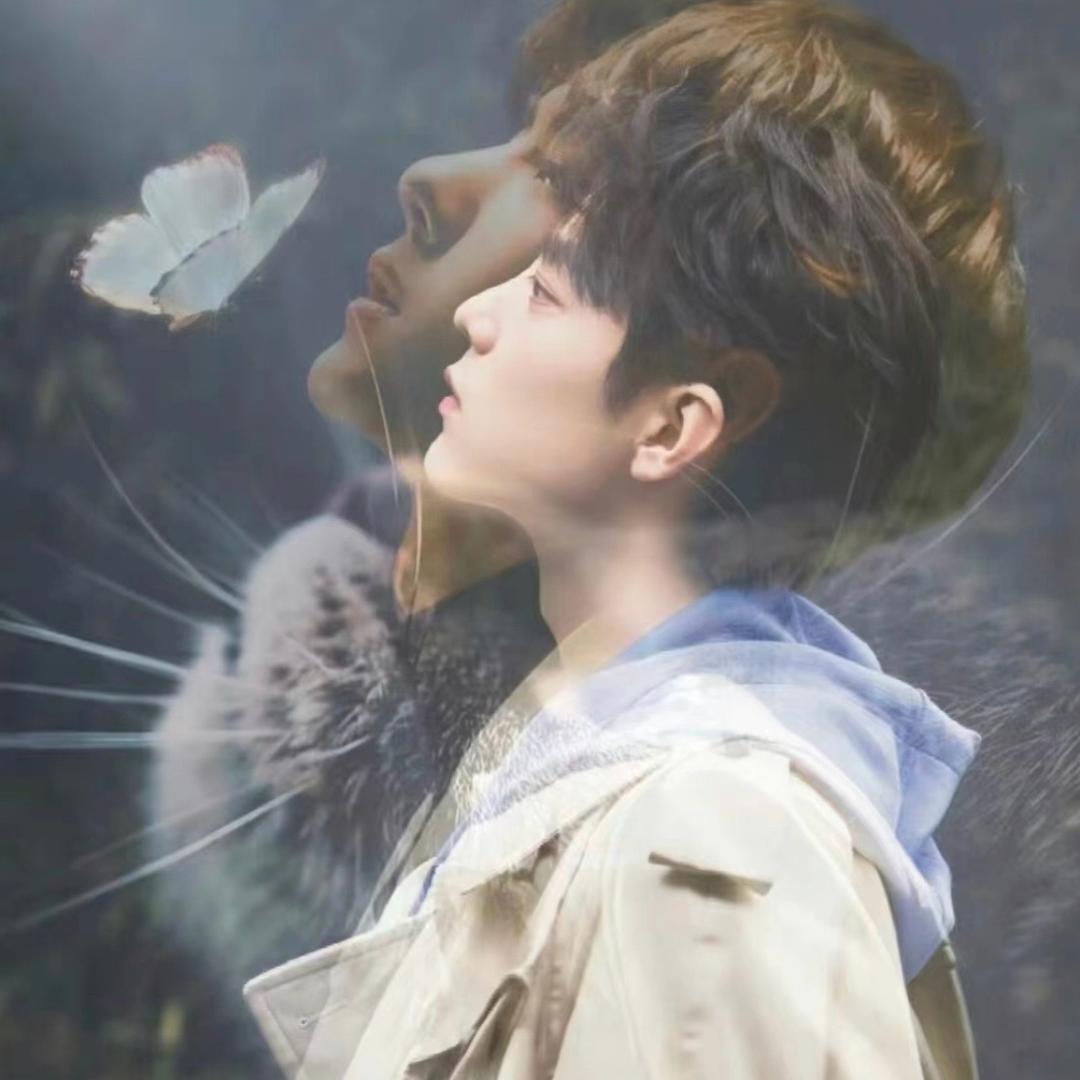 琑时🦁❤️🐰