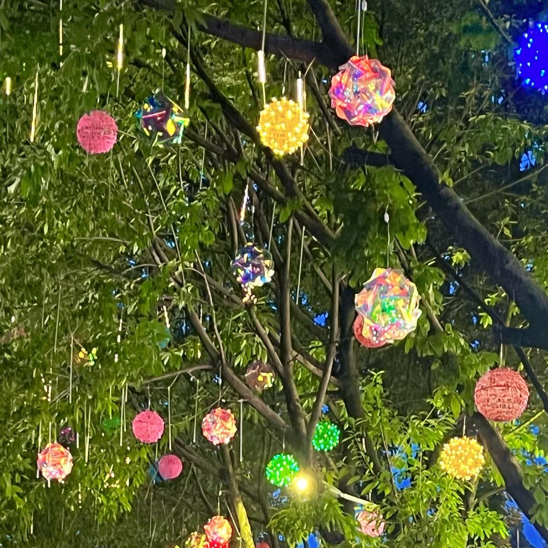 野马野不野