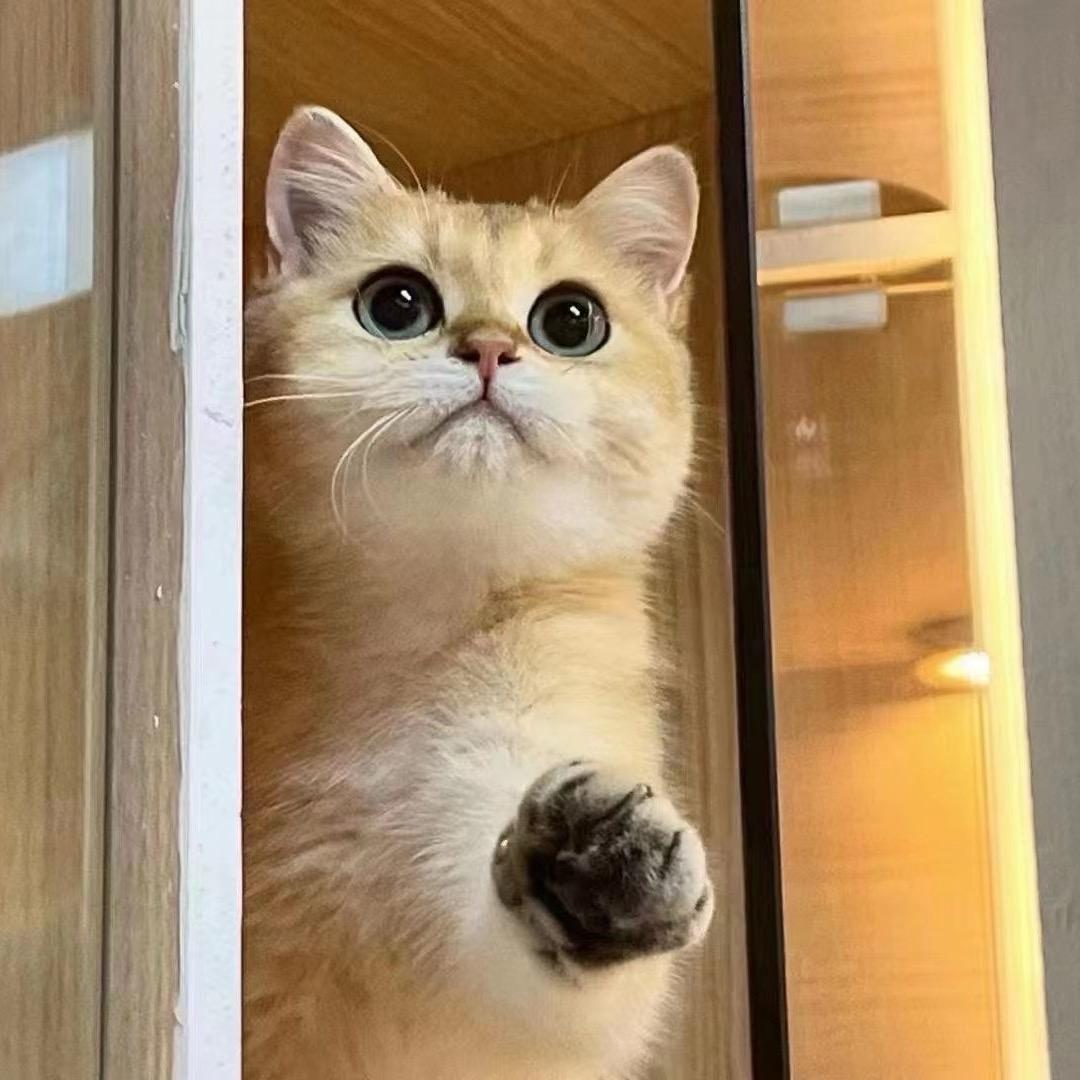 小凡