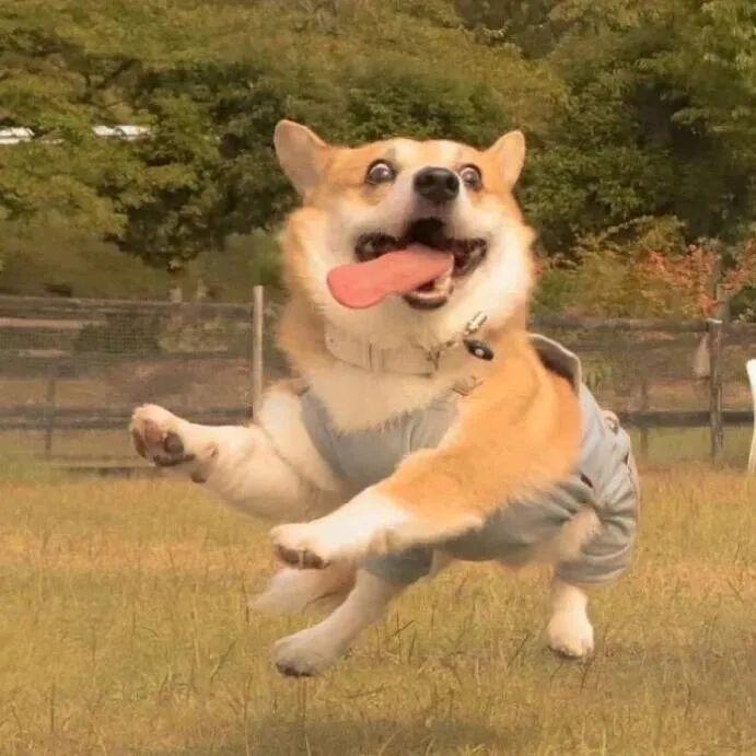 璀璨Zzzz