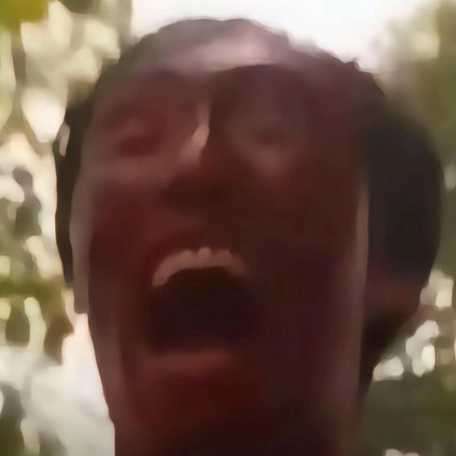 枝濛幻
