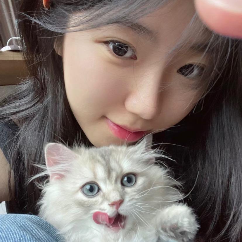 财神爷的发财猫🐱