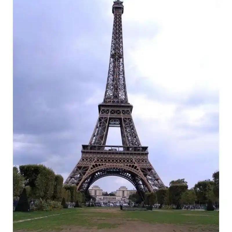 壁虎🦎（搬砖版）