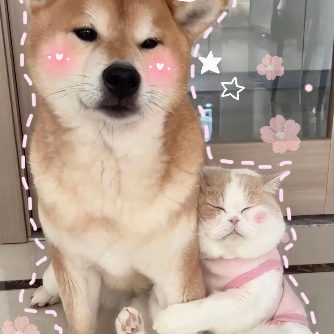 王小锤🔨