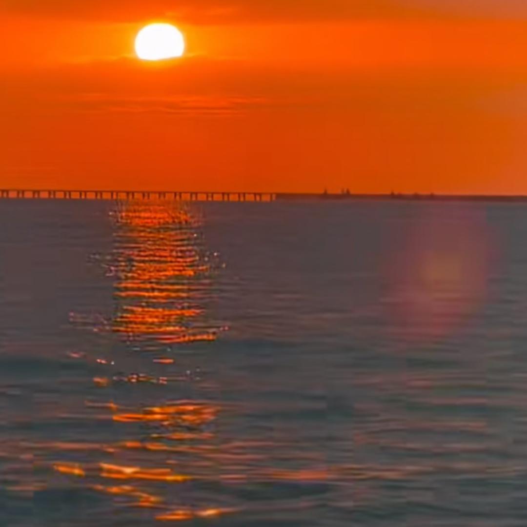 🦊易ཻ๓ ້中人࿐ 1587