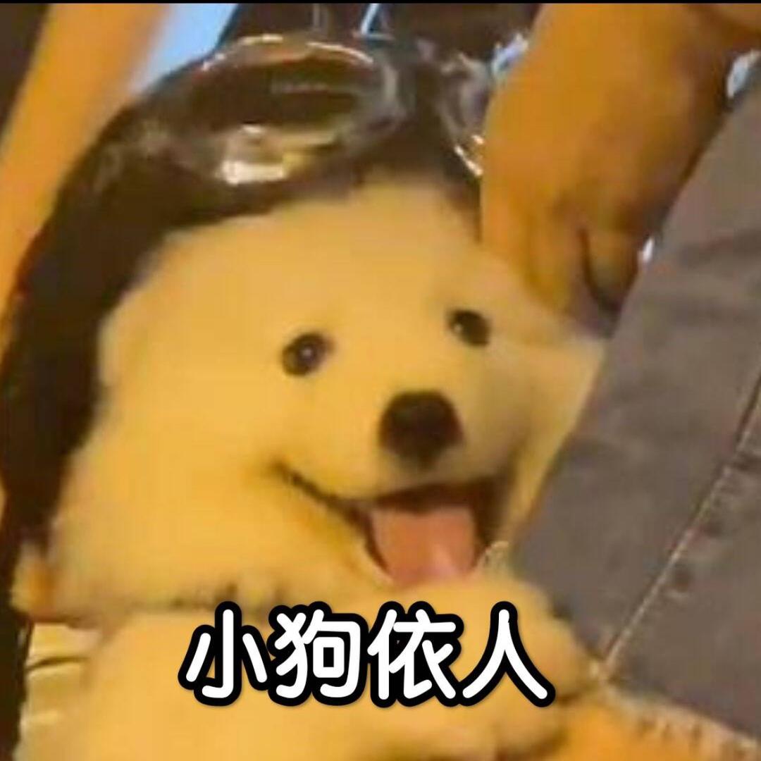 tortoise（三角洲行动）