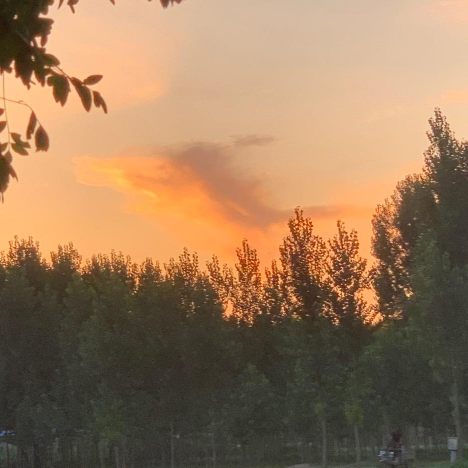 一一爱玩牌