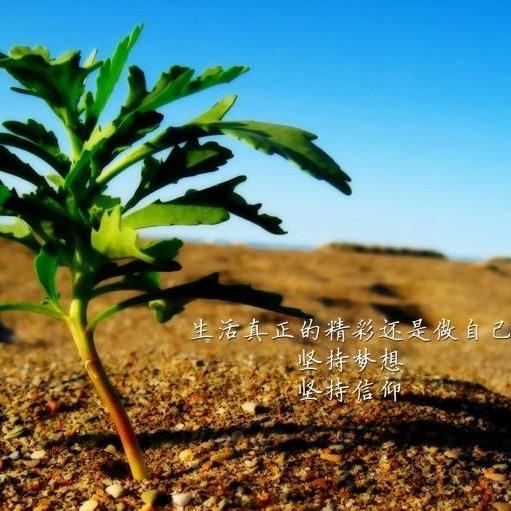 黎明
