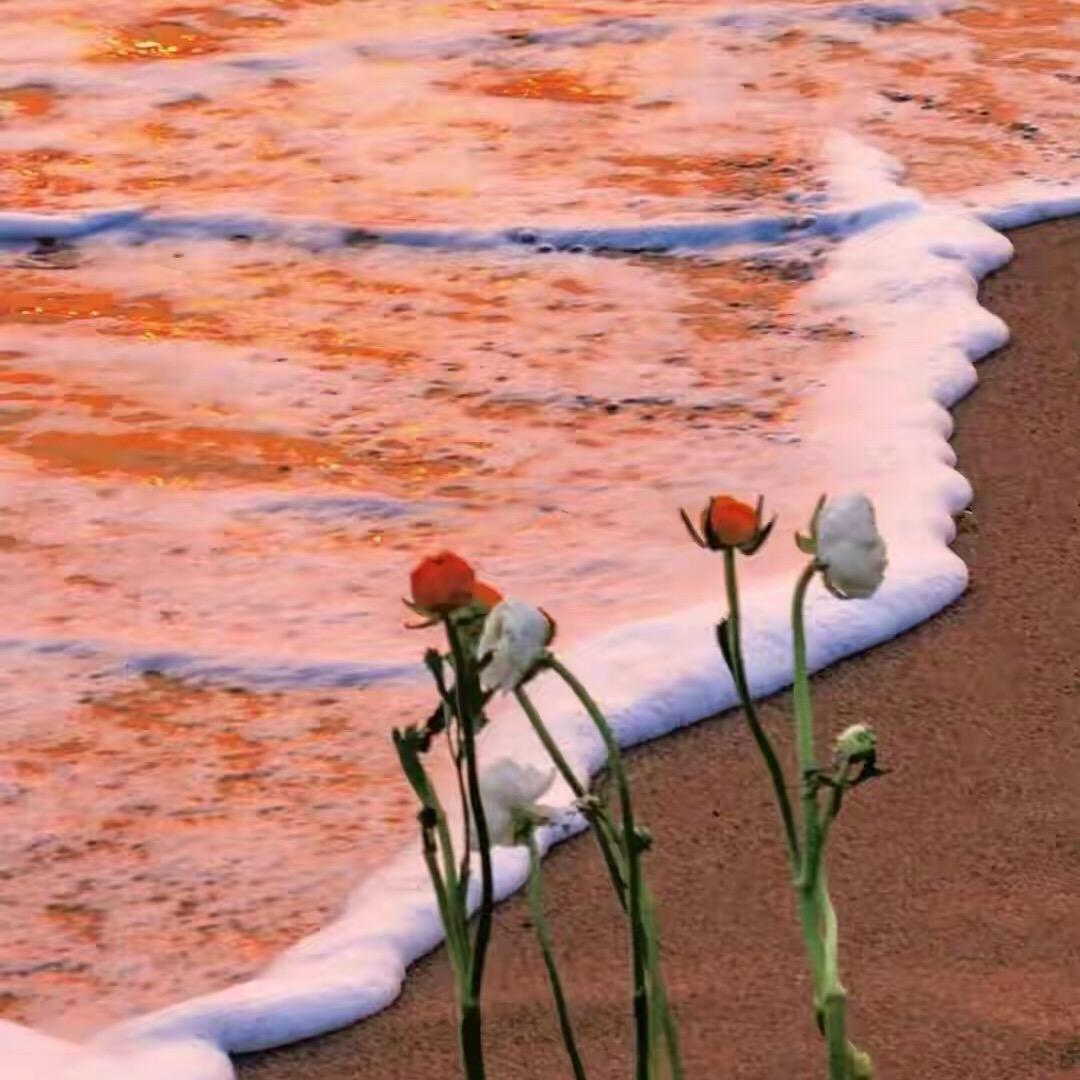 芳华岁月