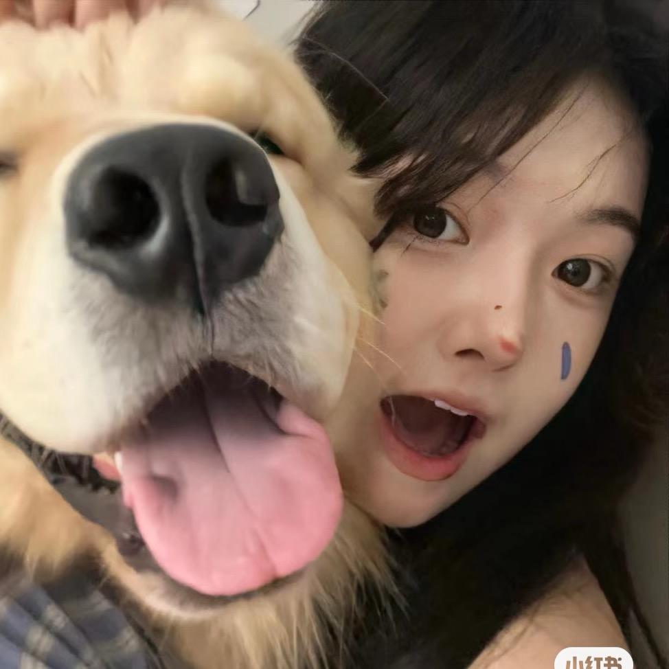 土豆小羊卷