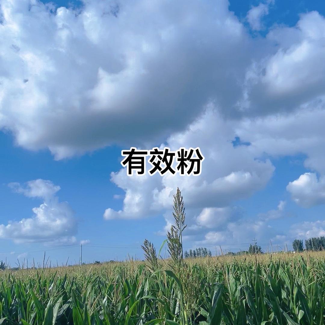 普通人创业