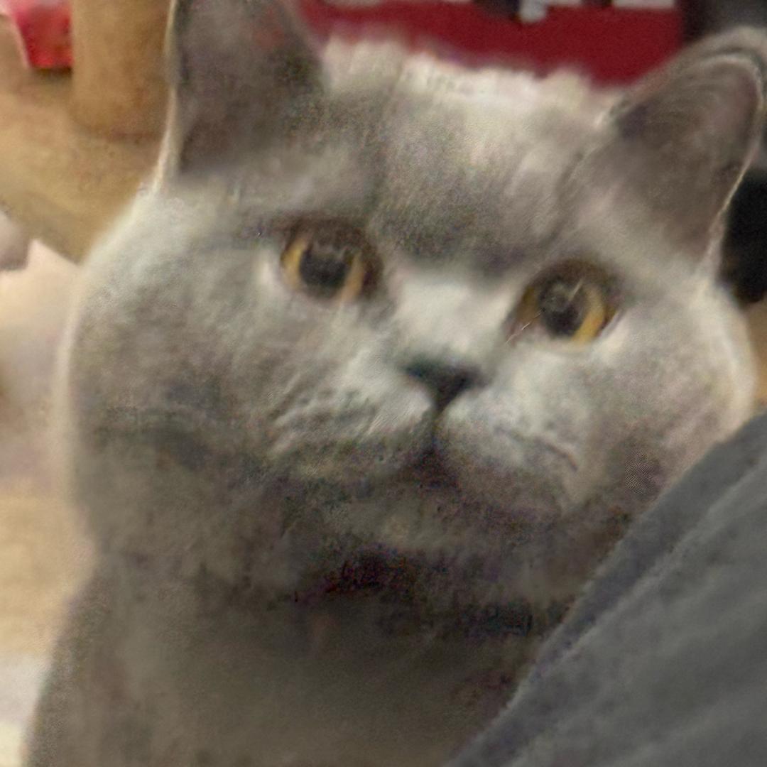 淼淼