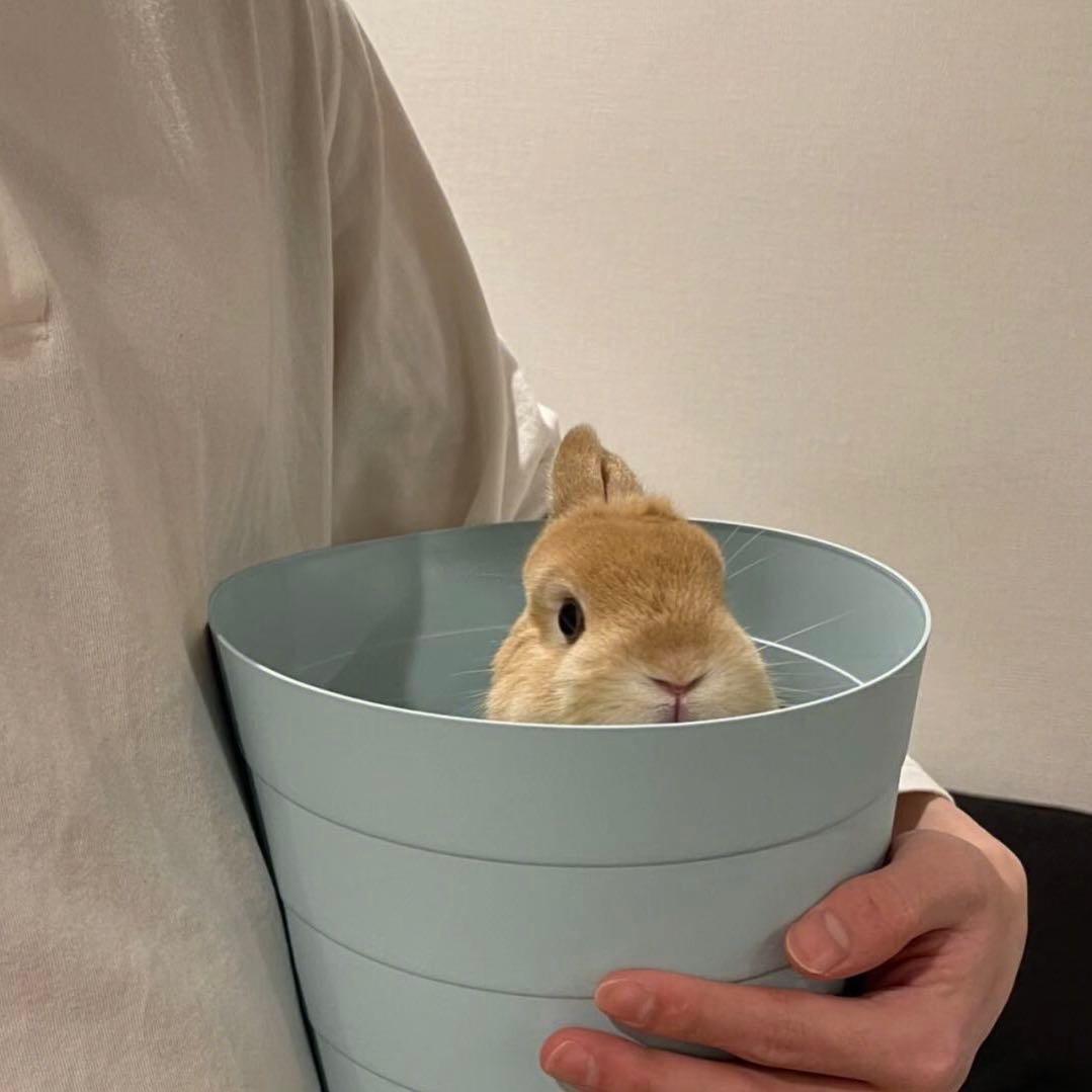 青柠味大薯片🥔