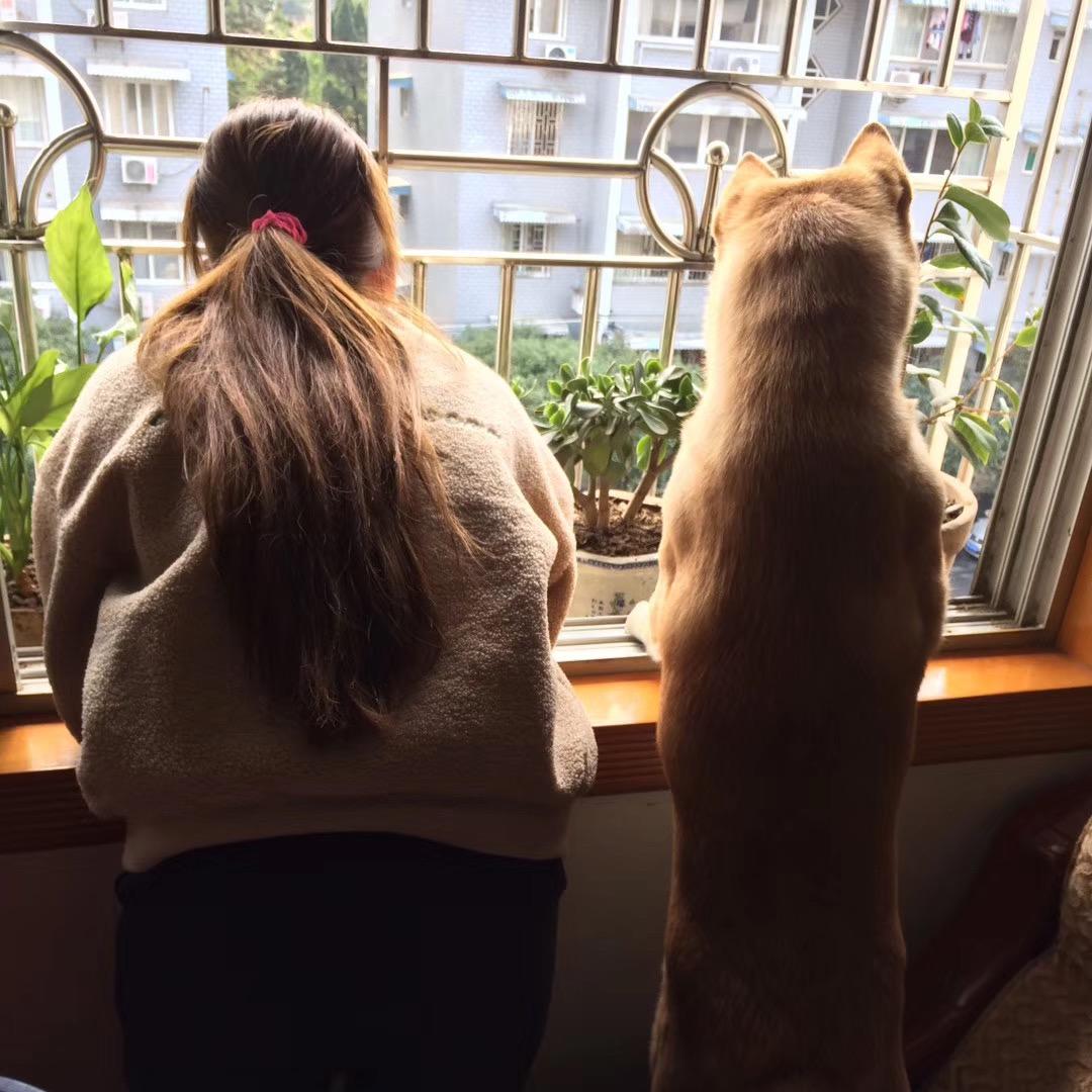 狗王