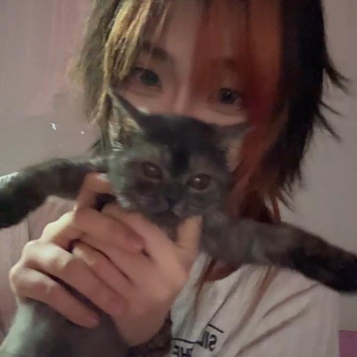 酸梅梅