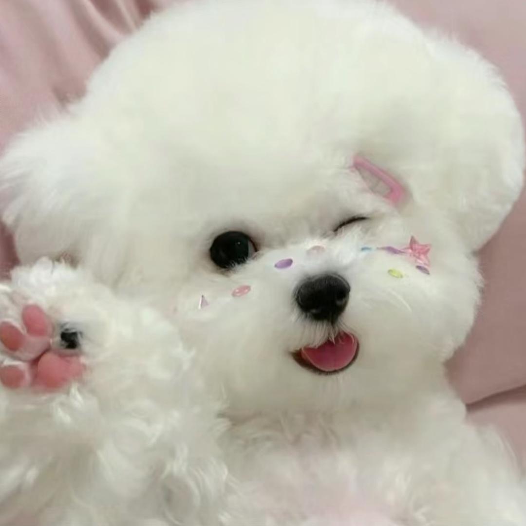汤圆甜又圆
