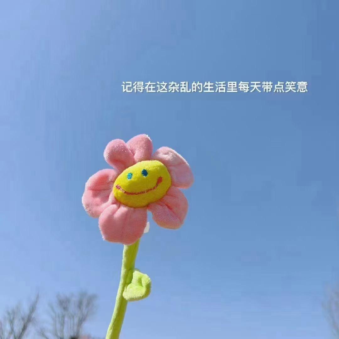 ৡ宝࿐