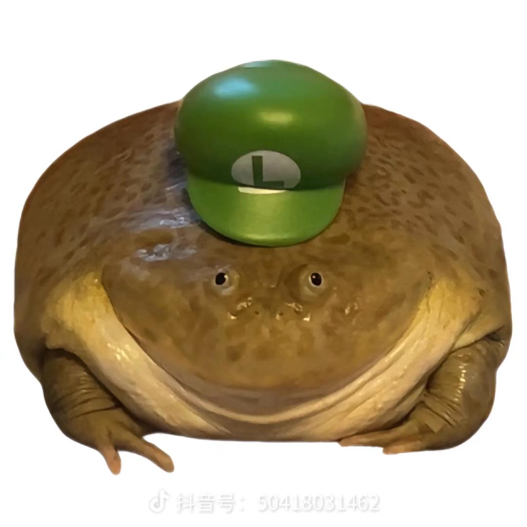 二哈