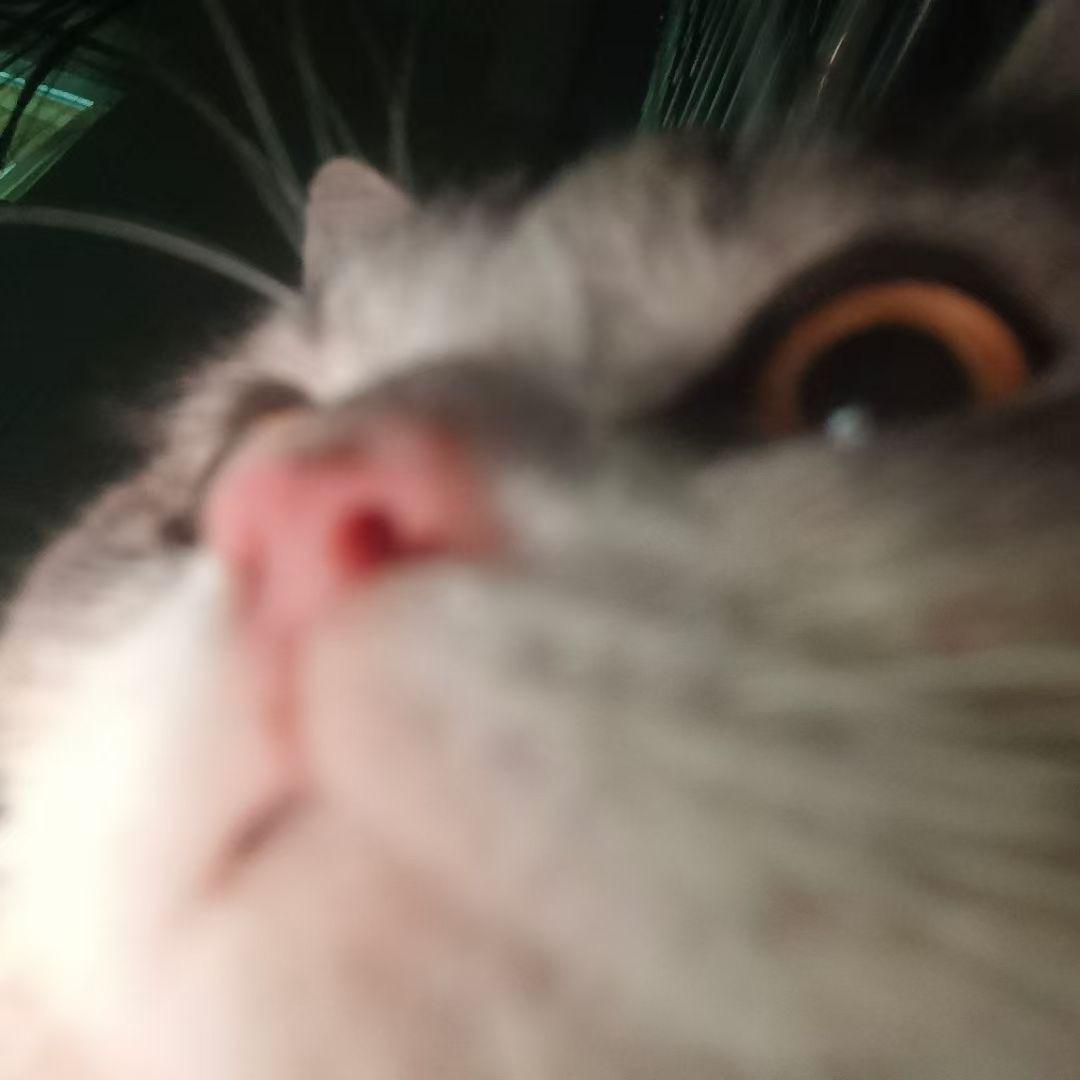 天真以为