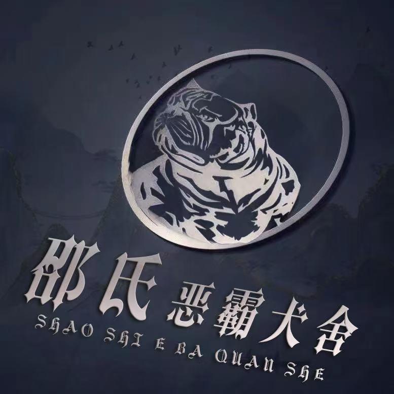 江苏邵氏恶霸犬繁殖基地（直播账号）