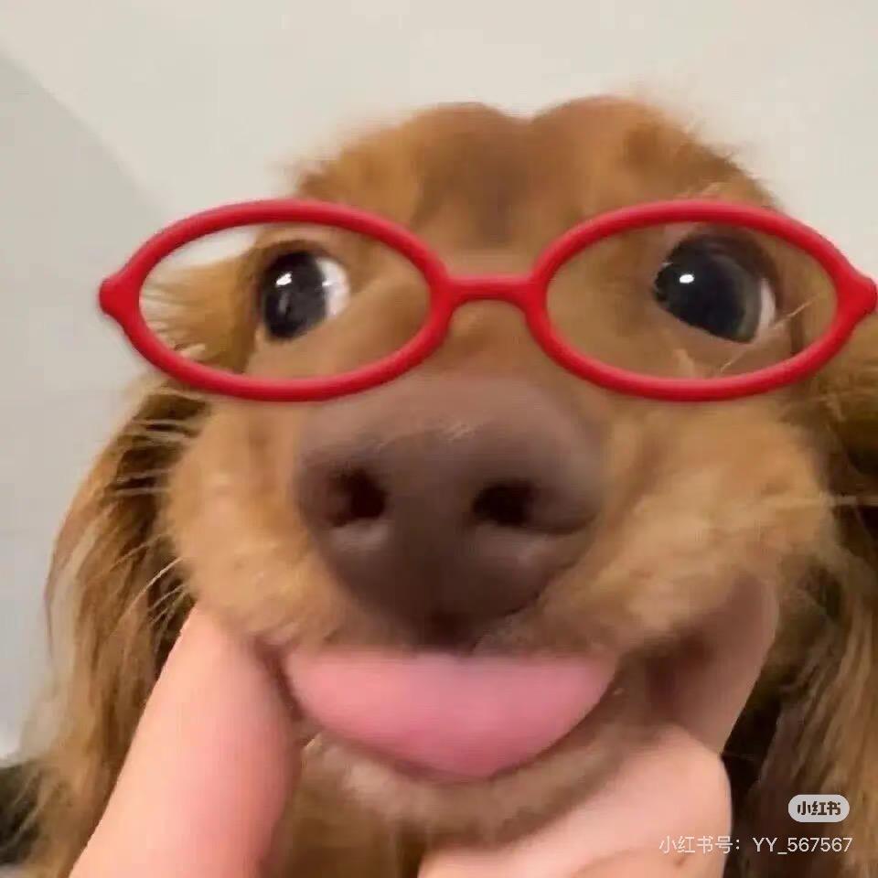 蜡笔小张🩵💙