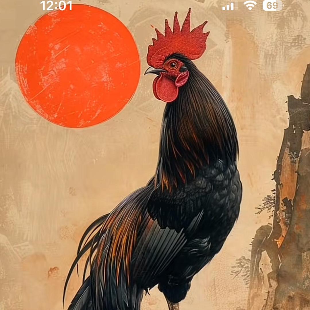 武穴噼里啪啦（收废品）