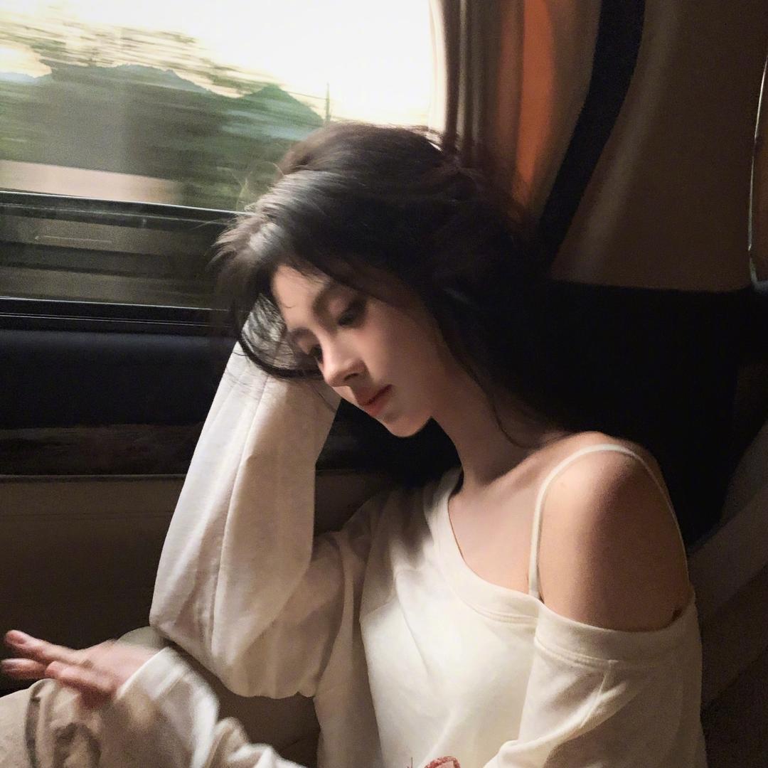 猪了个猪