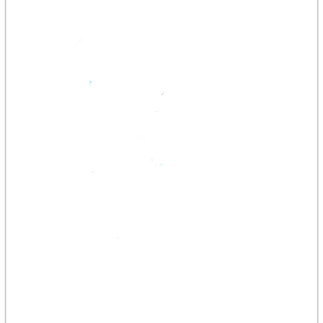 九月二号不开工是小狗