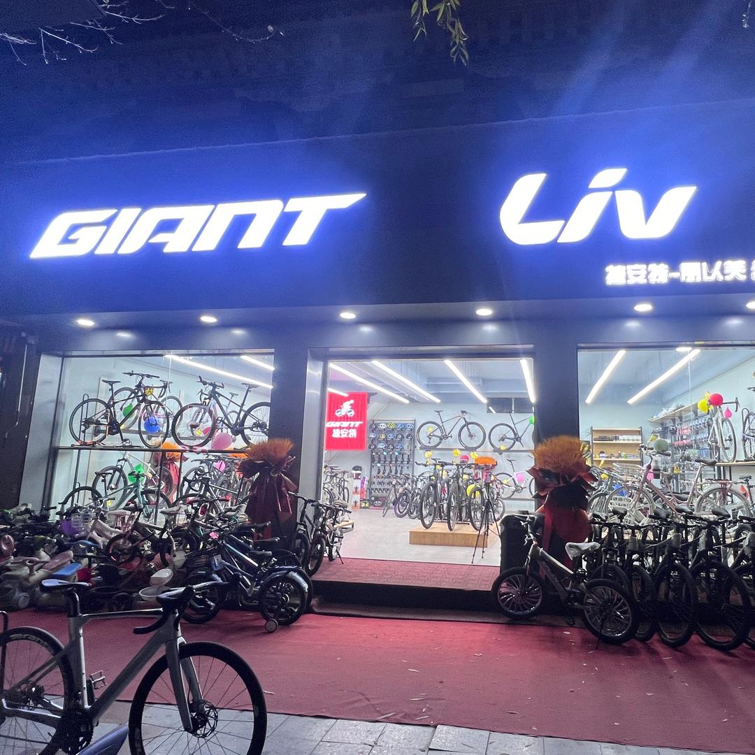 日喀则捷安特自行车