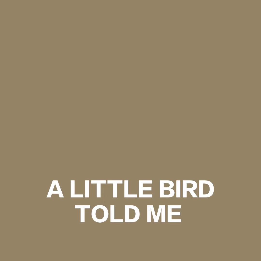 ALittleBirdToldMe