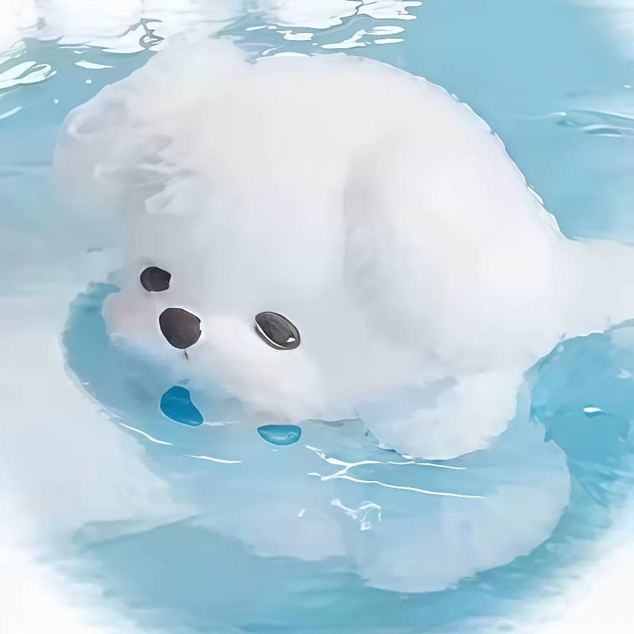 小甜橙.
