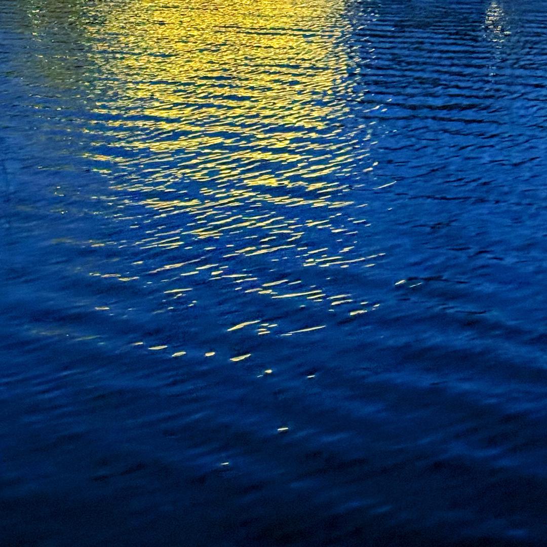 肉肉是个好巴打