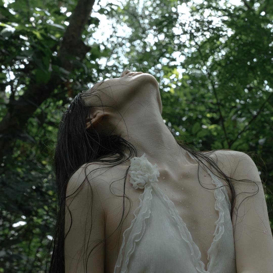 槿汐
