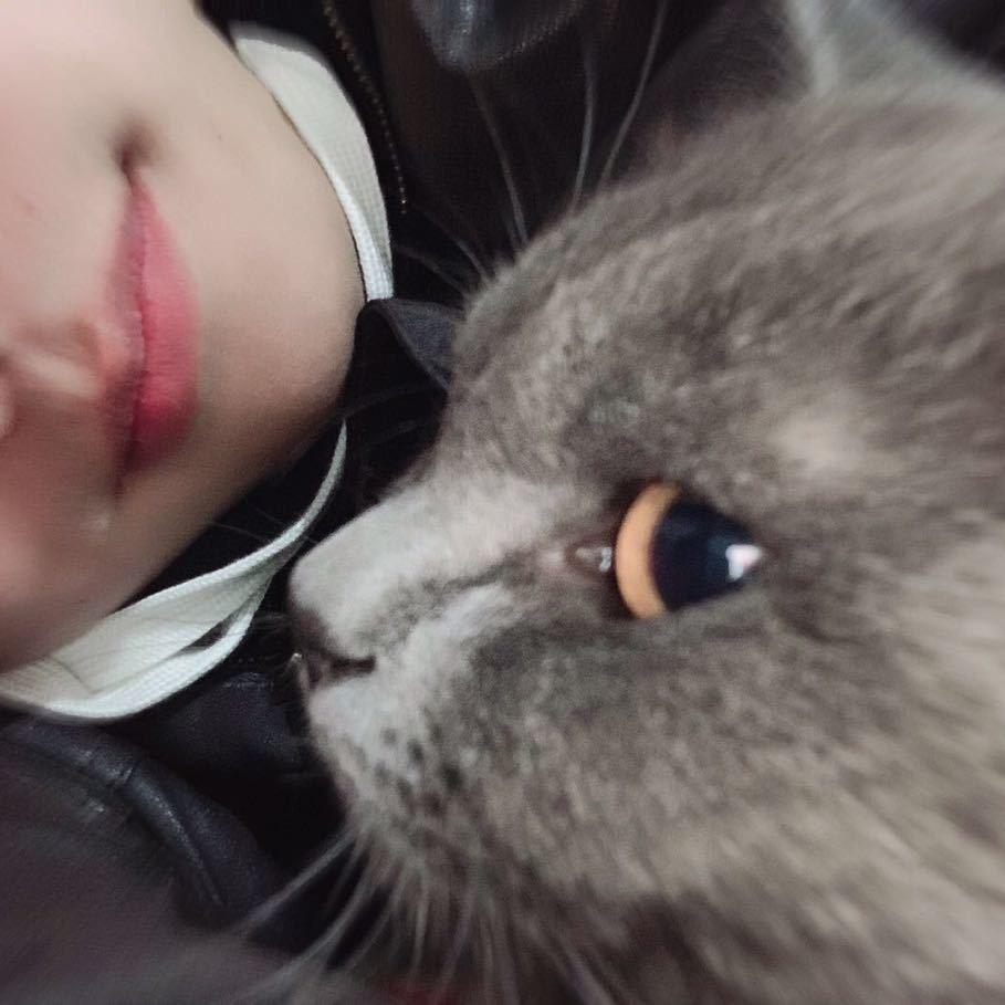 超级猪猪侠