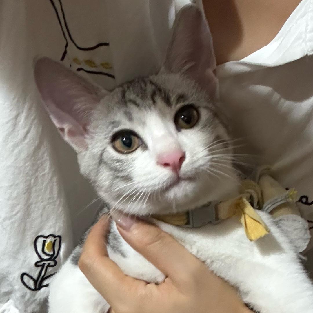 一不小心就暴富啦