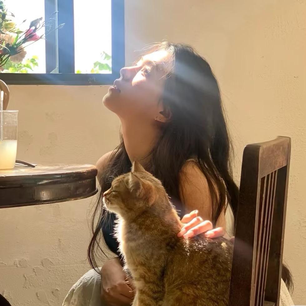 饿了吃一盆（面条仙人）