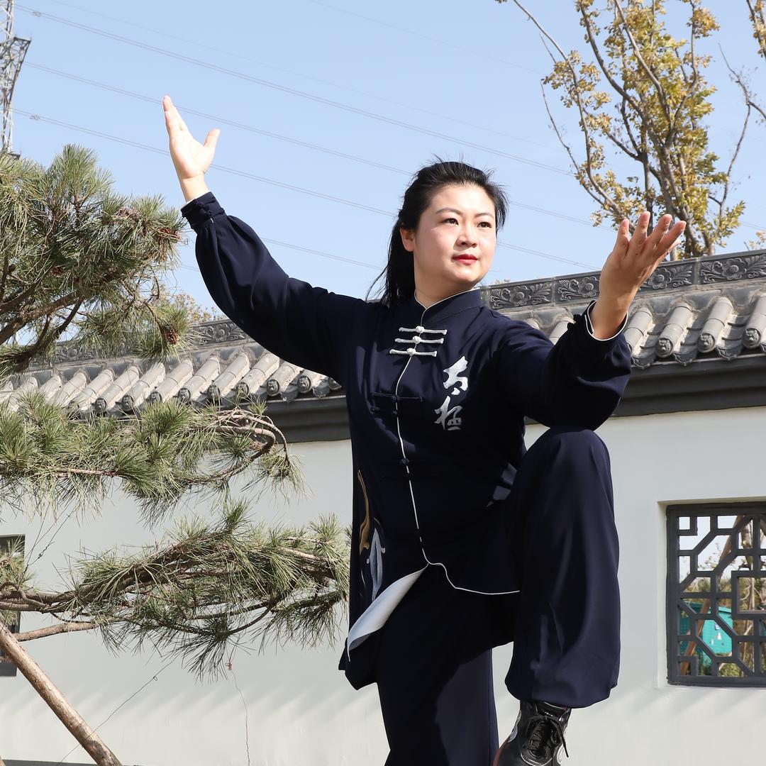 壹世纪杨博士太极