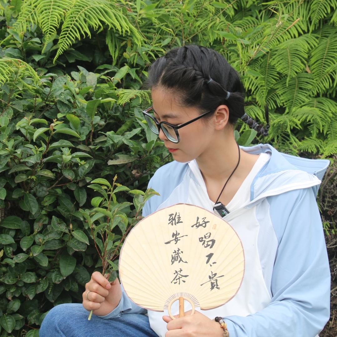 卓霖藏茶