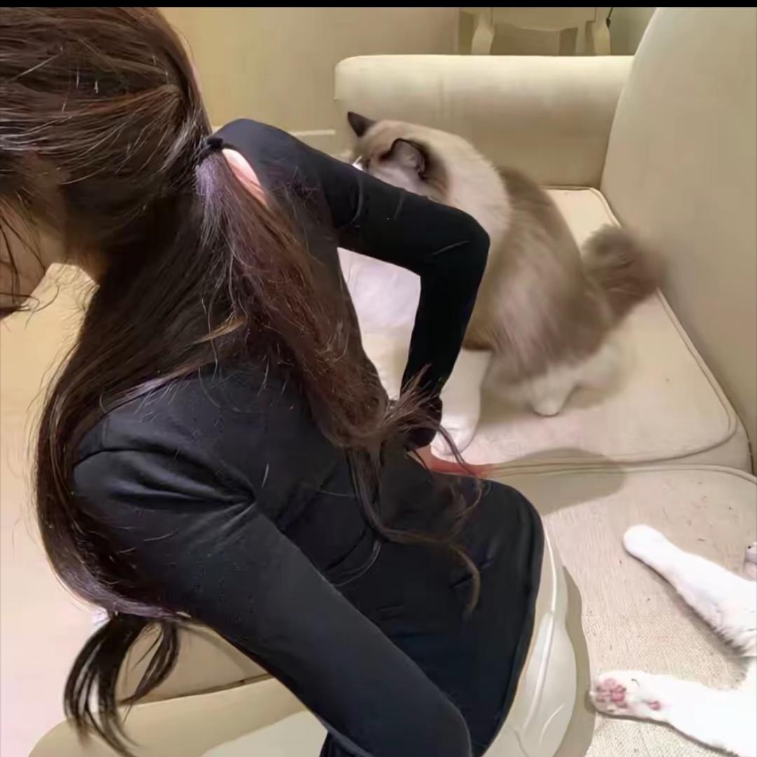 L6