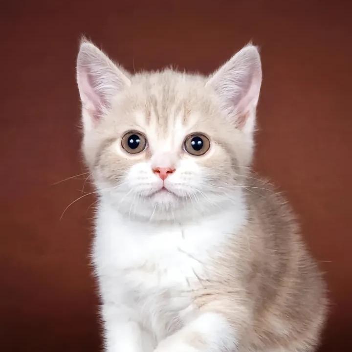 小娇妻💘