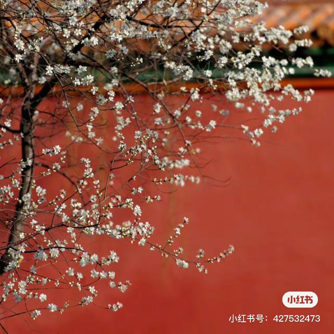禧木园林