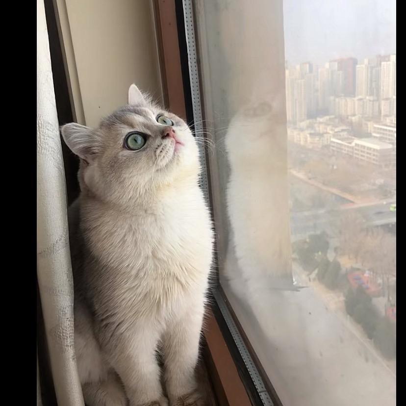 明天在一起