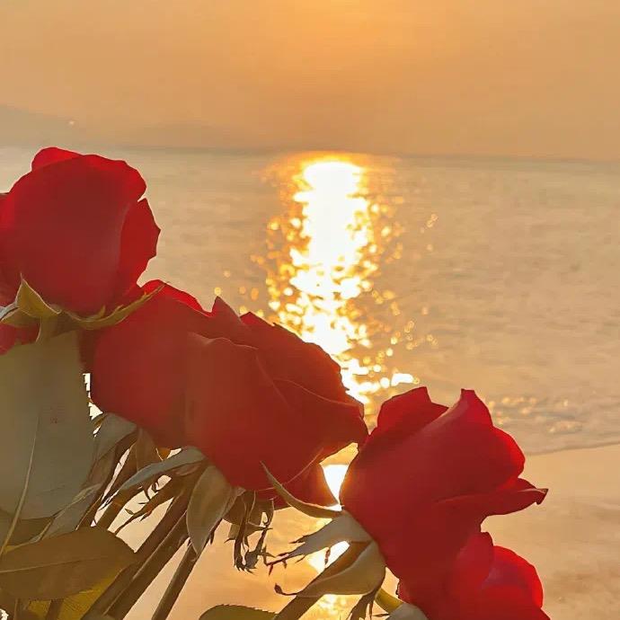 一二三公考—滨海