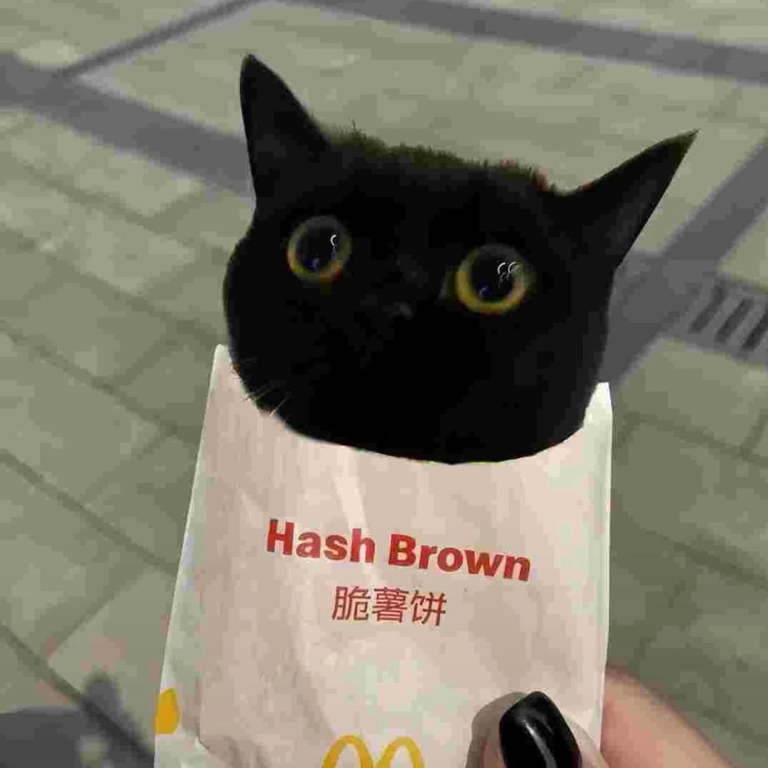 知枫述